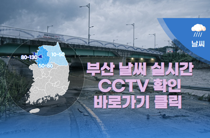 부산날씨CCTV영상을실시간으로제공합니다.