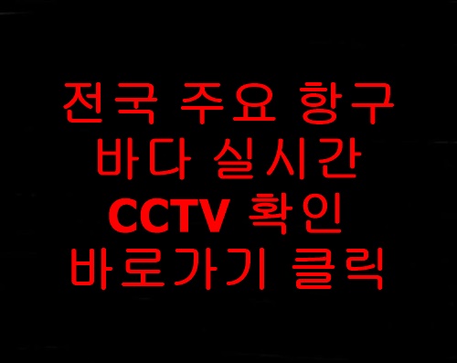 항구및주요바다실시간CCTV