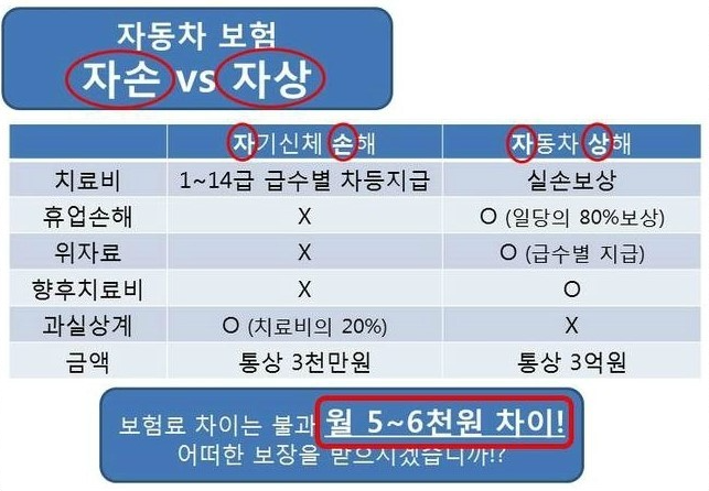 자동차상해vs자기신체사고비교